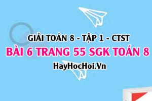 Giải bài 6 trang 55 Toán 8 Tập 1 SGK Chân trời sáng tạo
